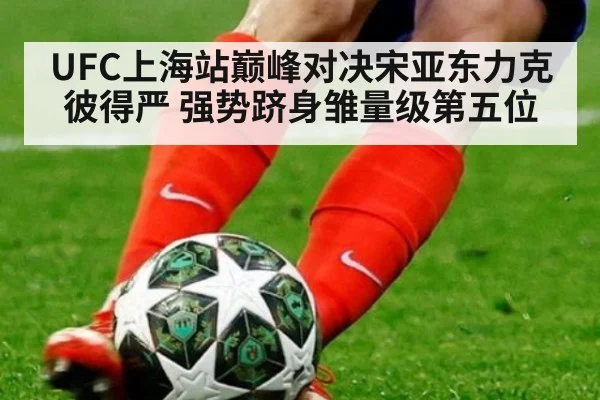 UFC上海站巅峰对决宋亚东力克彼得严 强势跻身雏量级第五位