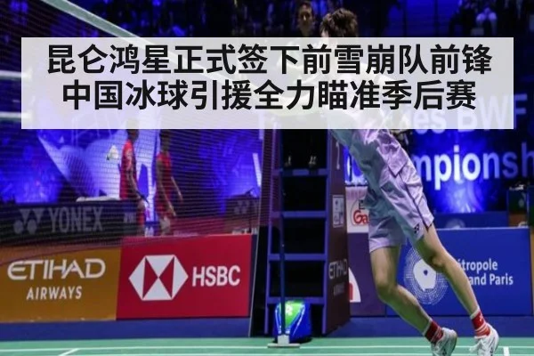 昆仑鸿星正式签下前雪崩队前锋中国冰球引援全力瞄准季后赛